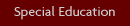 Special Education