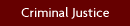 Criminal Justice